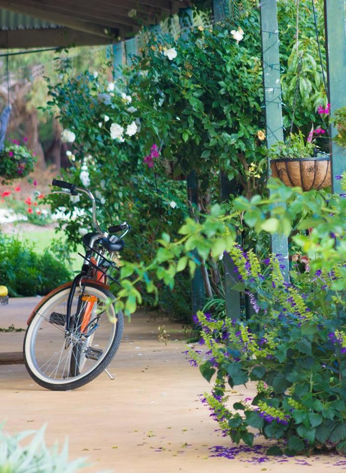 Freshwater Creek Cottages & Farm Stay Torquay Exterior photo
