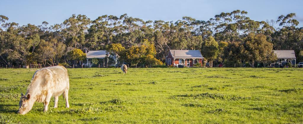 Freshwater Creek Cottages & Farm Stay Torquay Exterior photo